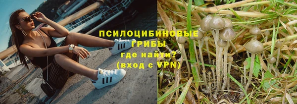 MESCALINE Белокуриха