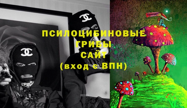 MESCALINE Белокуриха
