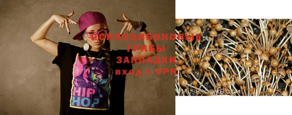 тгк Беломорск