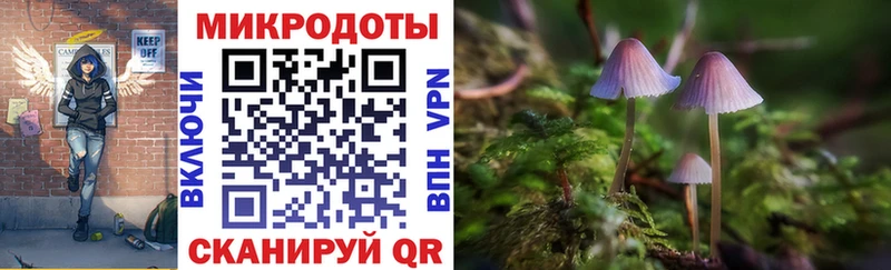 нарко площадка как зайти наркота Будённовск Псилоцибиновые грибы Psilocybine cubensis